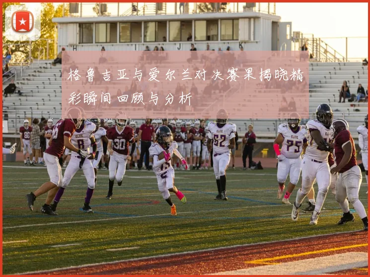 格鲁吉亚与爱尔兰对决赛果揭晓精彩瞬间回顾与分析