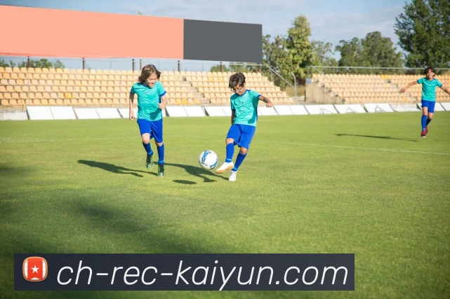 开云体育APP 封面图